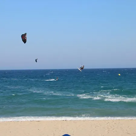 Palm Beach 8 *