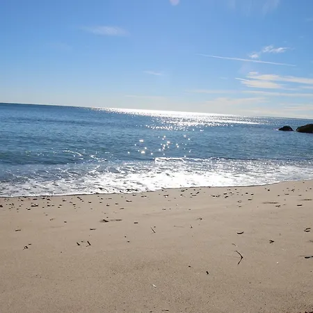 Vakantiehuis Palm Beach 8 *